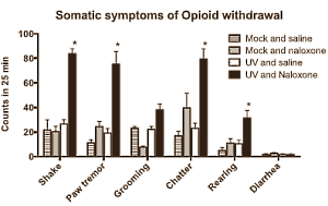 Animal study: sunbathing is addictive