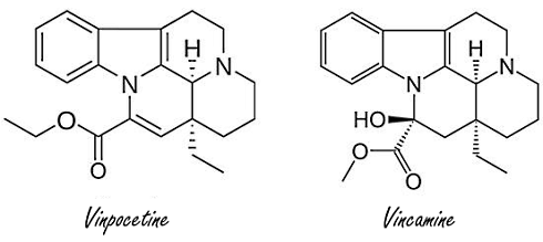 Your brain works better after two days of vinpocetine