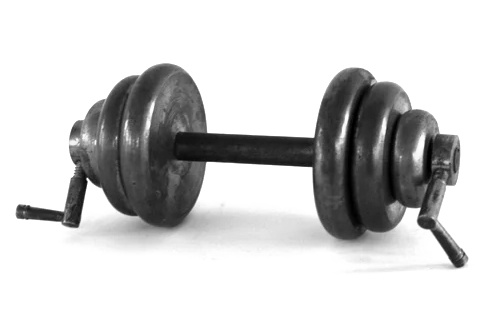 Training in the evening gives you more muscles, more definition