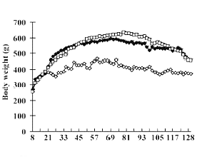 Slim-waisted rats live longer