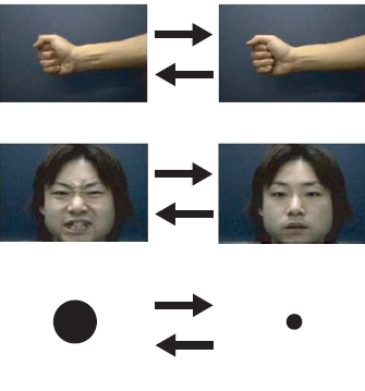 Increase your strength by watching your muscles at work