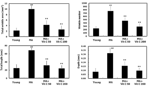 Aging without wrinkles due to vitamin C supplementation