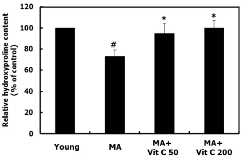 Aging without wrinkles due to vitamin C supplementation
