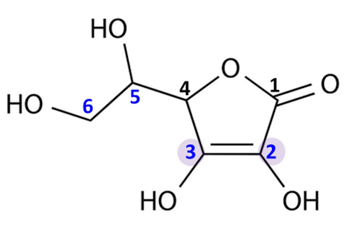 Vitamin C accelerates the healing of a torn rotator cuff