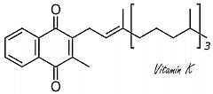 Covid-19 | Vitamin K increases survival chances