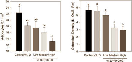 Less fat and stronger bones with mix of vitamin D, quercetin, resveratrol and genistein