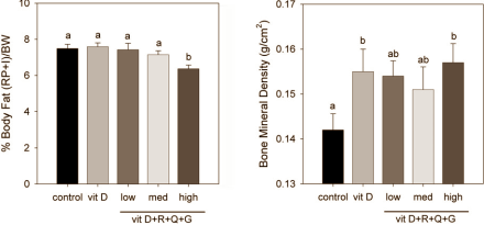 Less fat and stronger bones with mix of vitamin D, quercetin, resveratrol and genistein