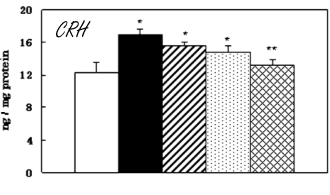 Too much cortisol in your body? Vitamin E may help