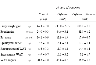 Junk food less fattening with vitamin C