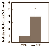 Vitamin C-Phosphate offers your hair protection from androgens