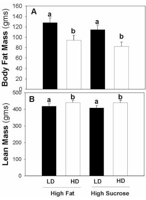 Extra vitamin D: more muscle, less fat
