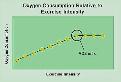 Endurance capacity protects against headache