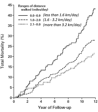 1998: walk a couple of kilometres a day and halve your chance of dying