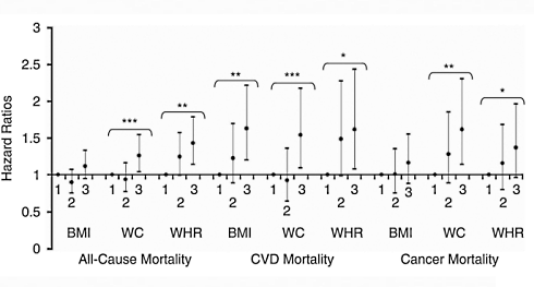 Waist measurement says more about health than BMI