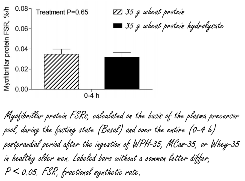 It's possible: building muscles with wheat protein