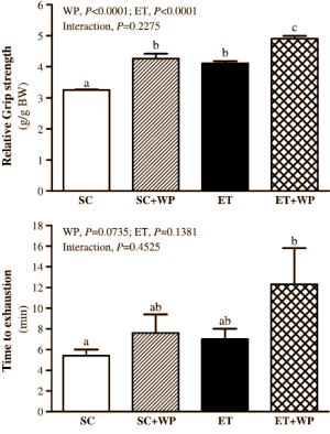 Whey improves endurance athletes' stamina