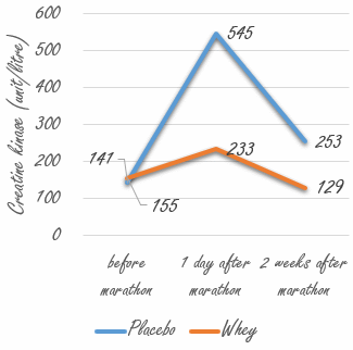 Thinking of running a marathon? Start taking whey!