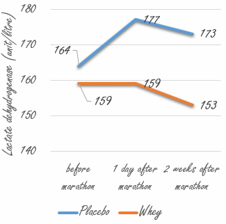 Thinking of running a marathon? Start taking whey!