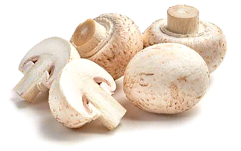 Are men (and steroids users) less likely to get covid if they eat 2 mushrooms a day?