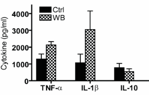 White button mushrooms: an immunological weapon with a safety catch